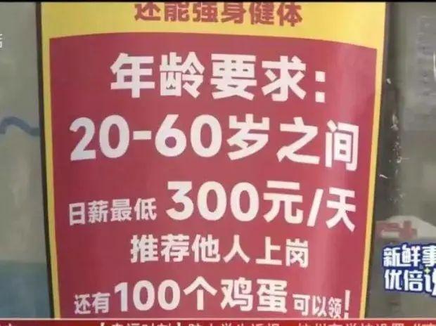 趙縣快遞最新招聘信息，探索職業(yè)發(fā)展無(wú)限機(jī)遇