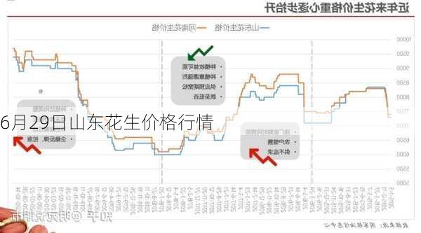 青島地區(qū)花生最新價格及分析概述