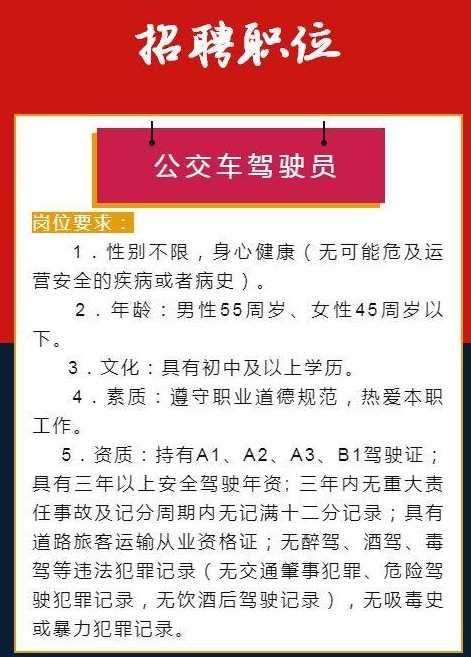 新會司機(jī)招聘最新信息，駕馭機(jī)遇，掌握未來之路