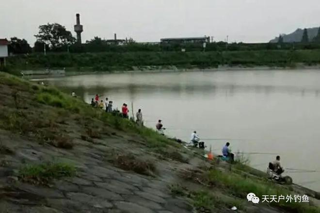 焦作最新野釣勝地探索，自然水域釣魚新境地