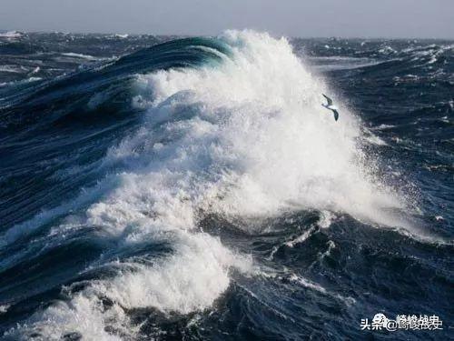 邂逅水兵舞最新板，舞動心靈的盛宴